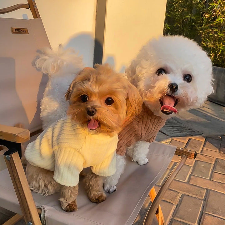 ふっくらリブニットトップ