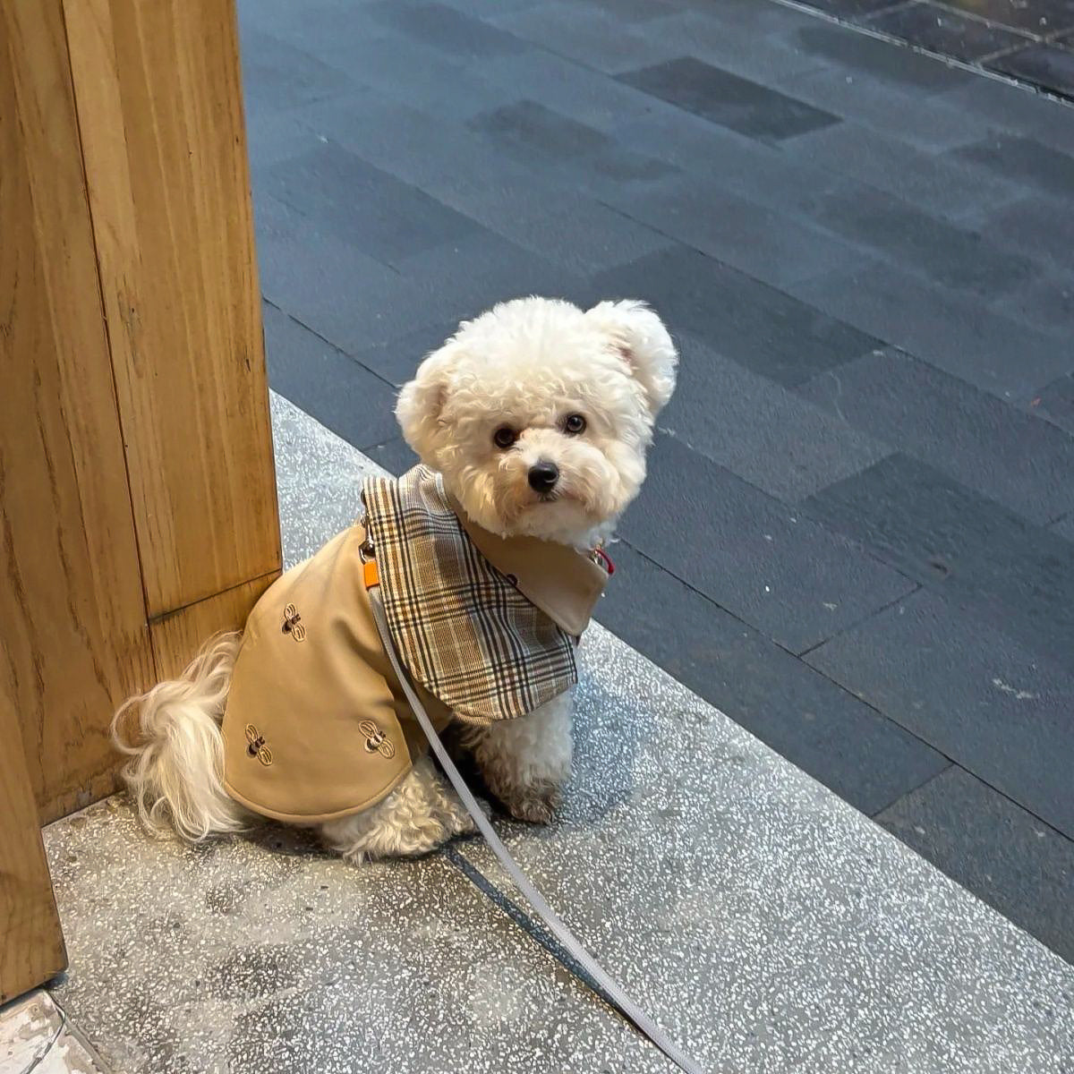 ＆LEI】チェックケープ付きトレンチコート