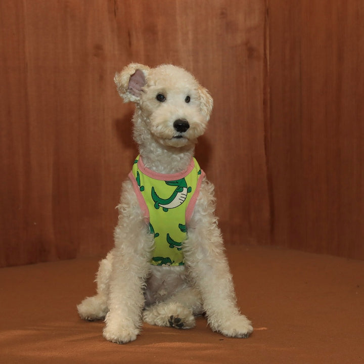 アイコニックレイジークロコダイルノースリーブ（グリーン）
