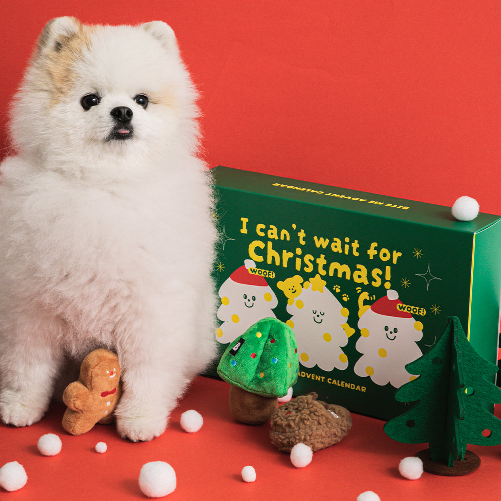 クリスマスアドベントカレンダー