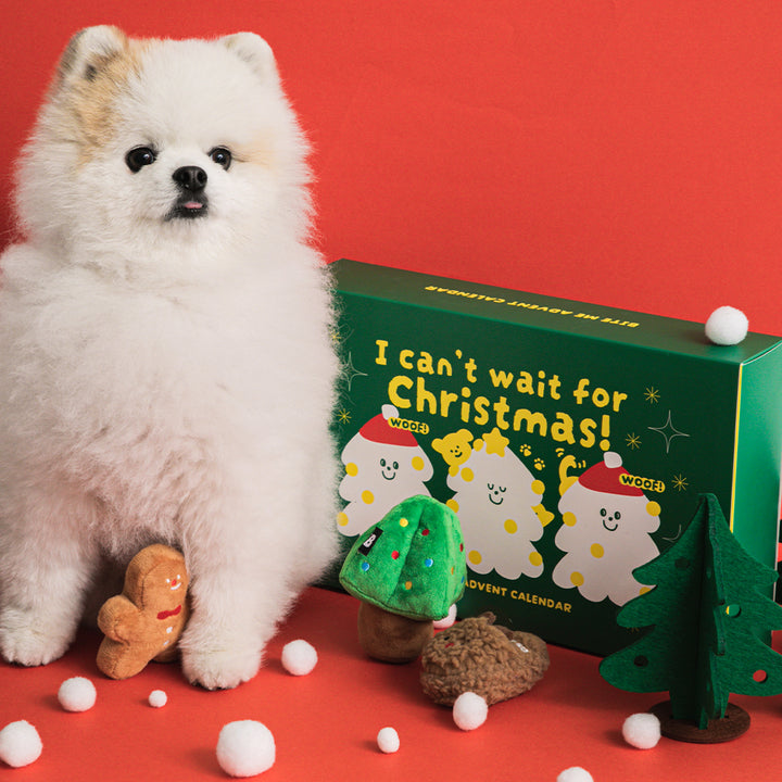 クリスマスアドベントカレンダー