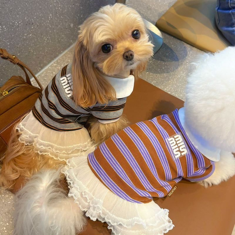 ストライプポロTシャツ&フリルワンピース