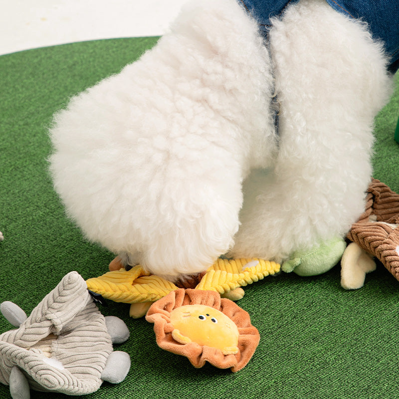 カシャカシャポケットマントおもちゃ