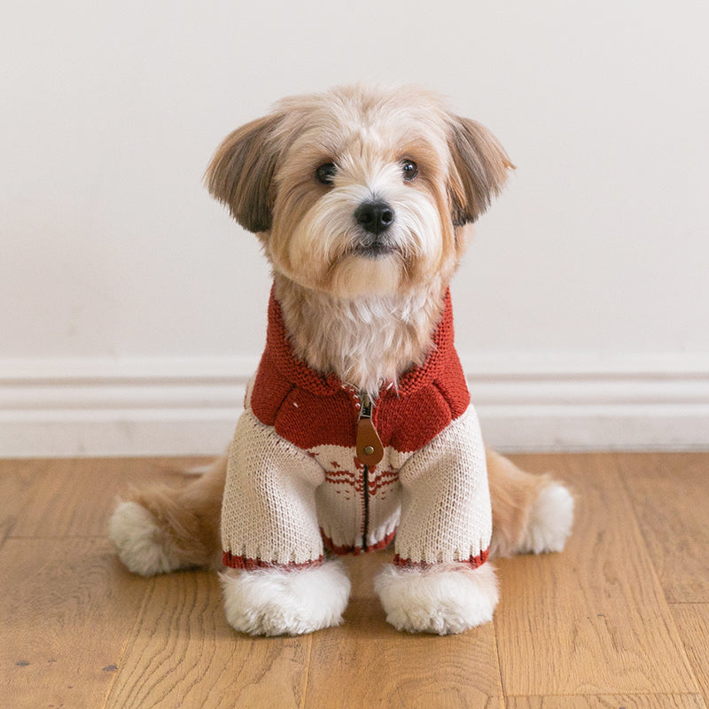 メイプル・コウイチャン ニットジャケット