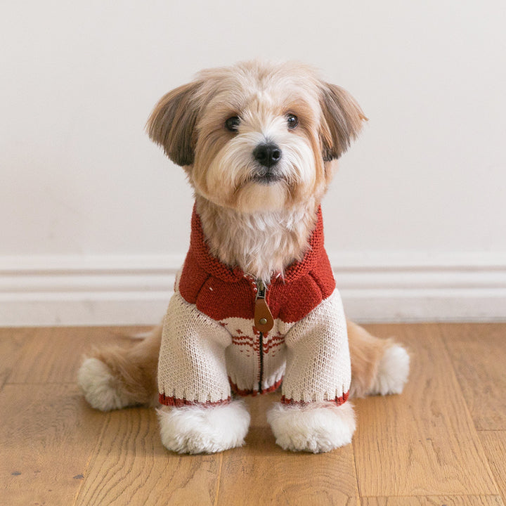 メイプル・コウイチャン ニットジャケット