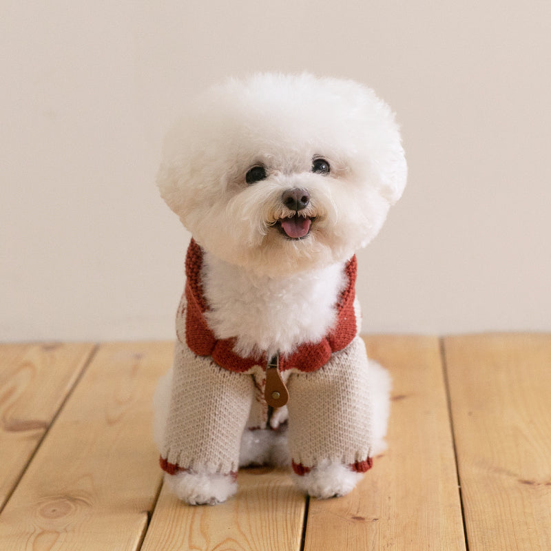 メイプル・コウイチャン ニットジャケット