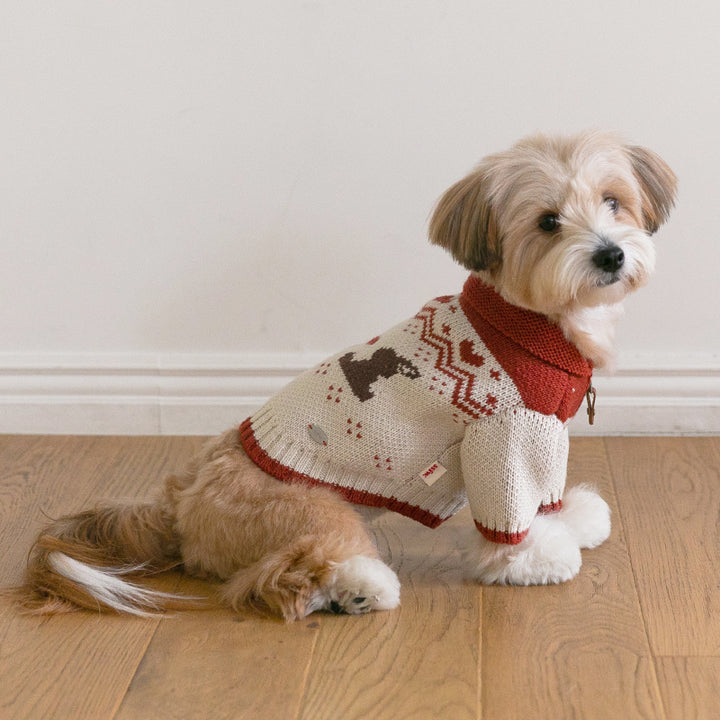 メイプル・コウイチャン ニットジャケット