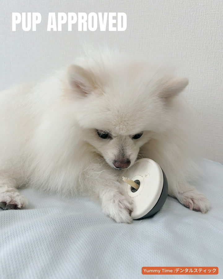 【国産/無添加】デンタルスティックS 15本