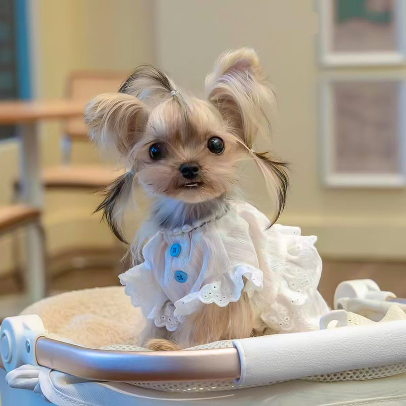 プリンセスフリルワンピース