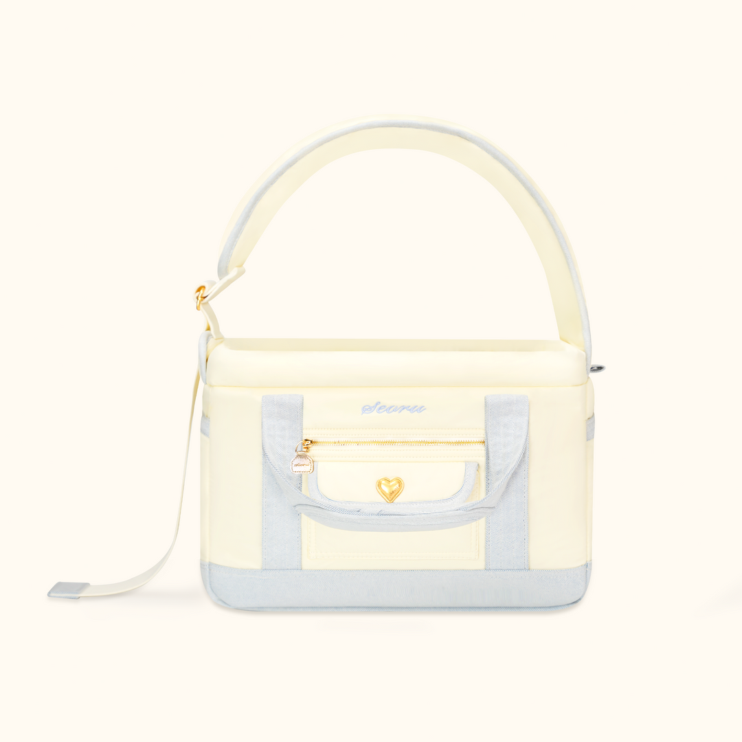 Pillow Bag｜ピローバッグ（レモンブルー）