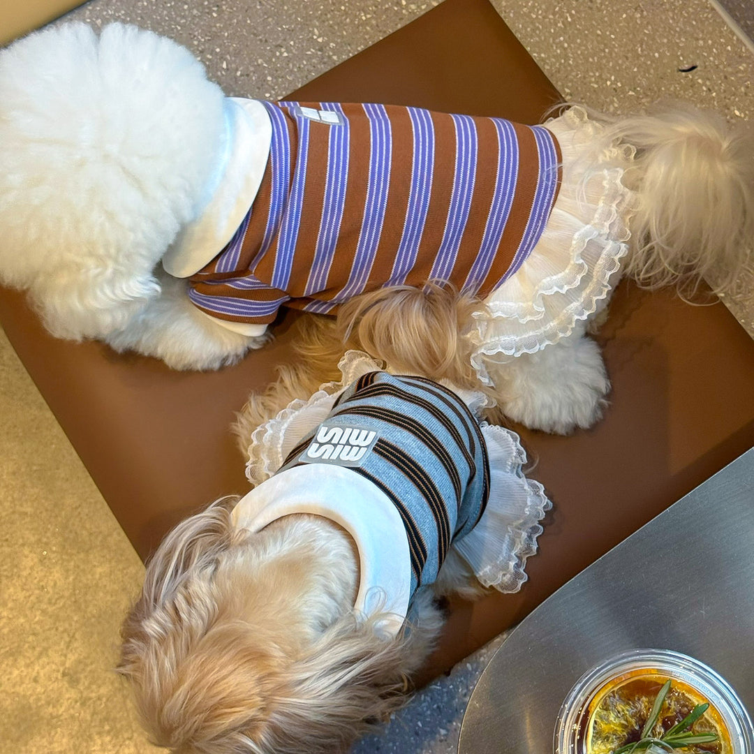 ストライプポロTシャツ&フリルワンピース