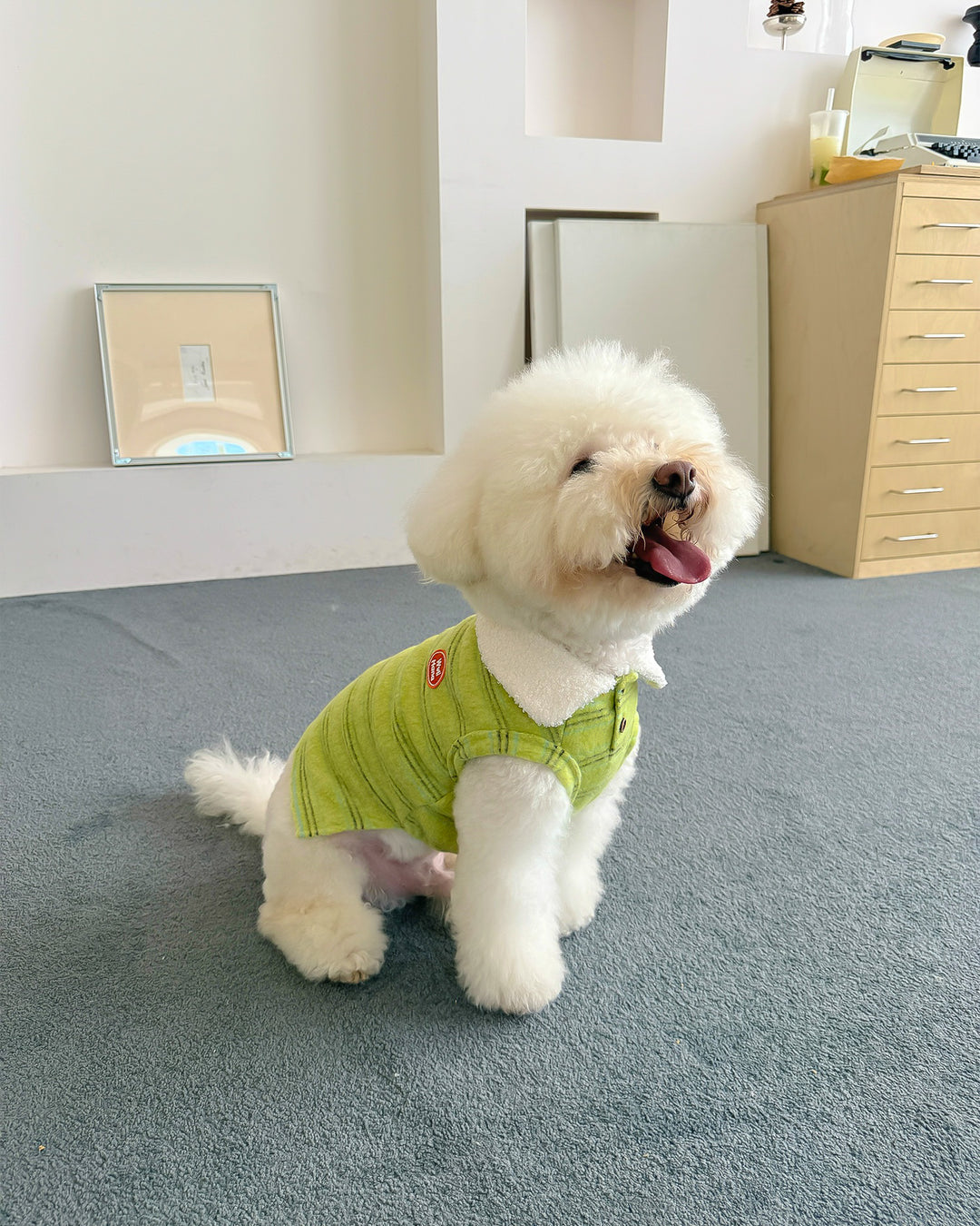 もこもこカラー付きニットベスト