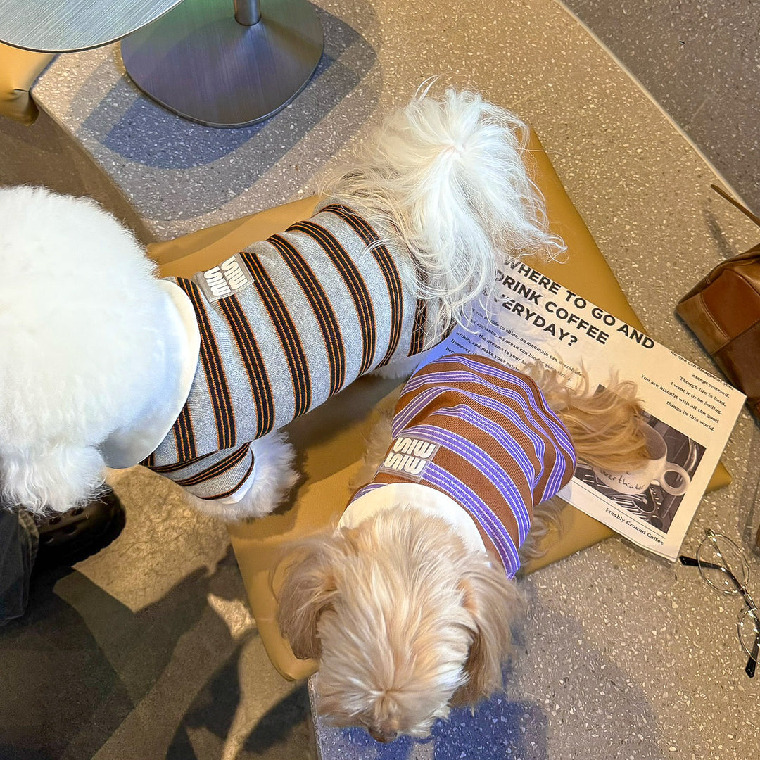 ストライプポロTシャツ&フリルワンピース