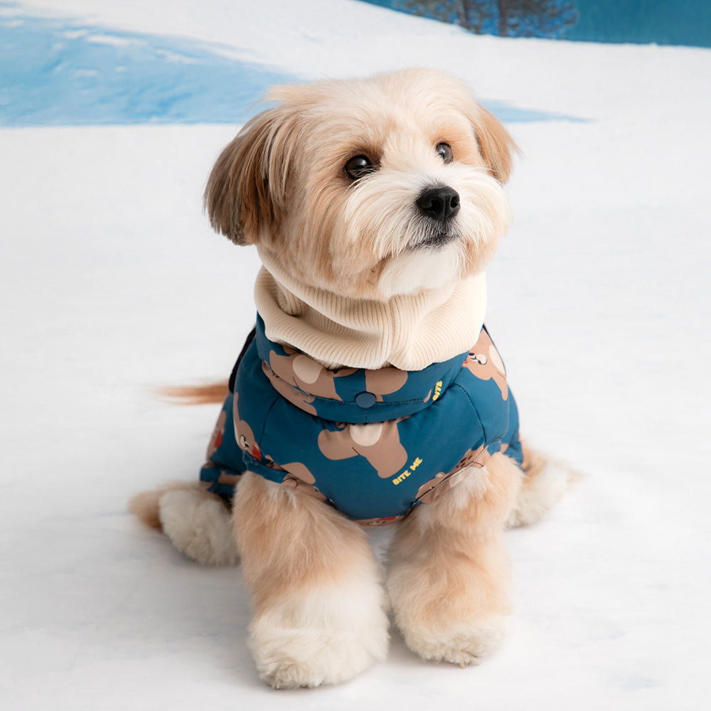 ＆LEI 愛犬ちゃんご紹介】とろろくん