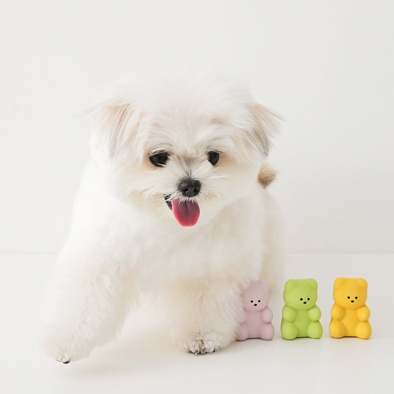 リトルジェリーベアラテックスおもちゃ