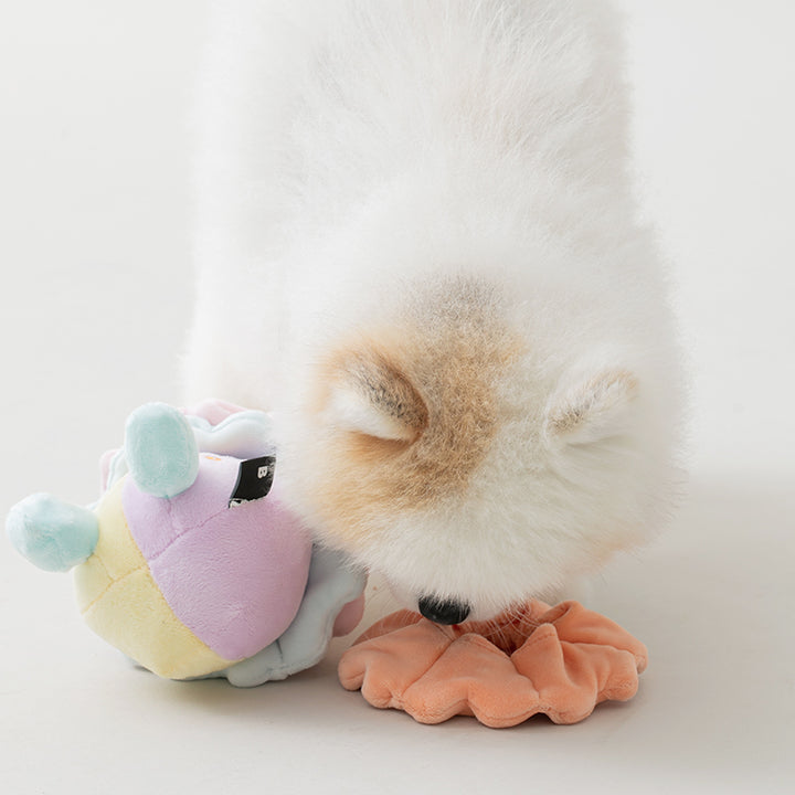 ピエロのノーズワークおもちゃ