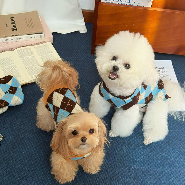 コージークロスニット