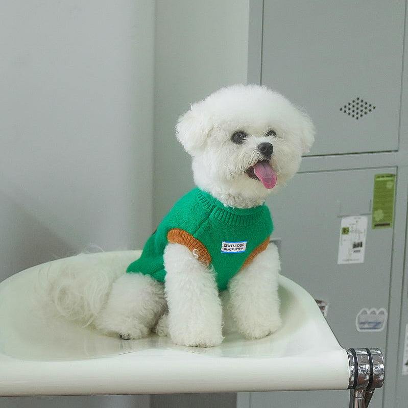 キャップドッグ・カラフルニット