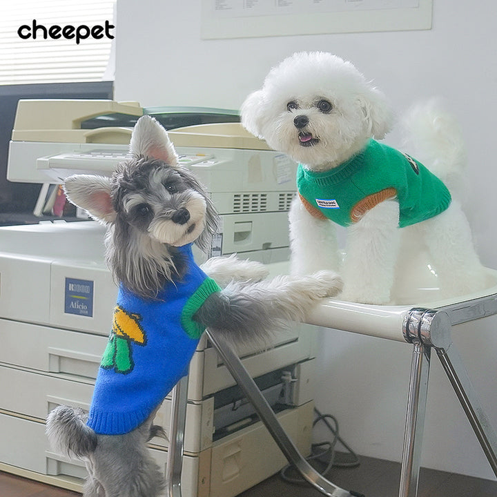 キャップドッグ・カラフルニット