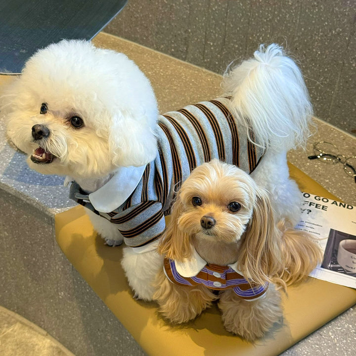 ストライプポロTシャツ&フリルワンピース