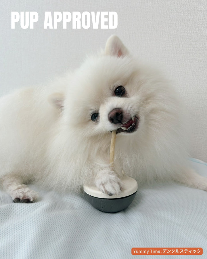 【国産/無添加】デンタルスティックS 15本