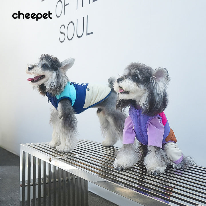 カラーブロック・テックダウンベスト