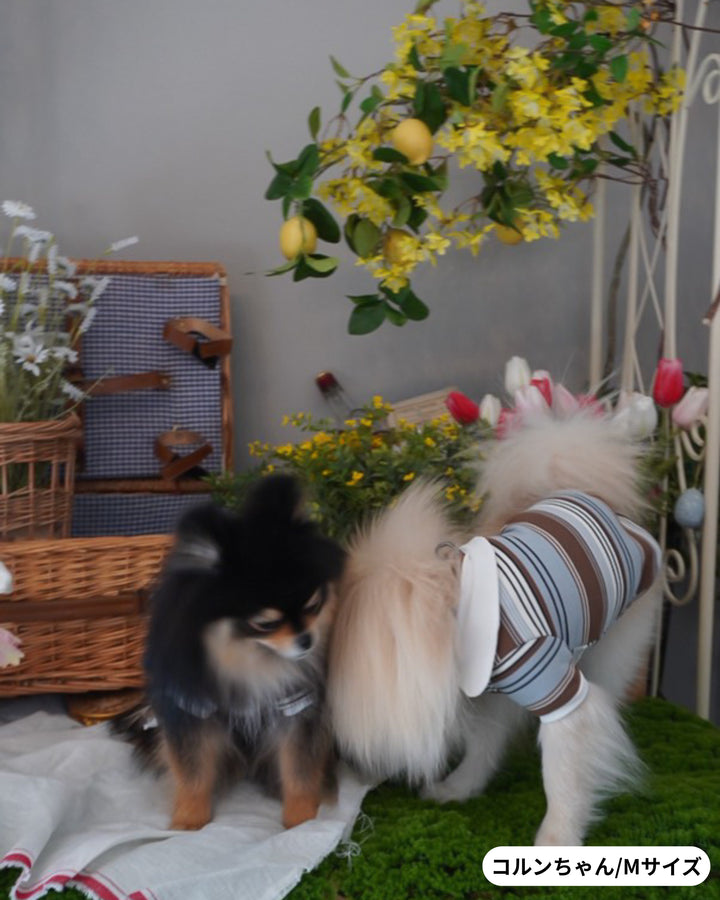 ストライプポロTシャツ&フリルワンピース