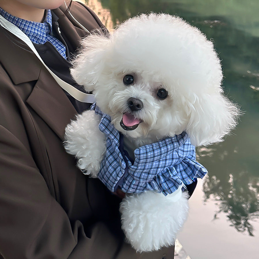 クラシカルチェックフリルダウン