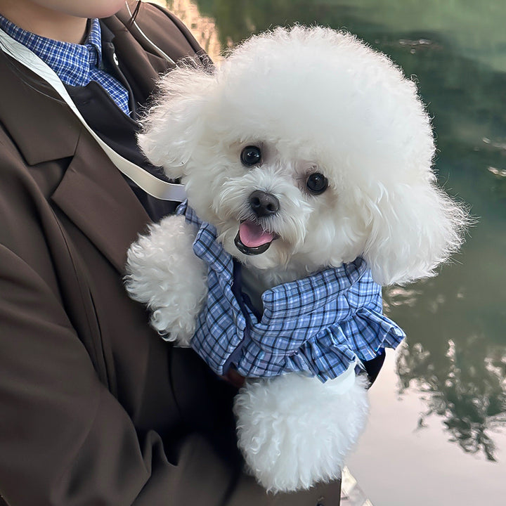 クラシカルチェックフリルダウン