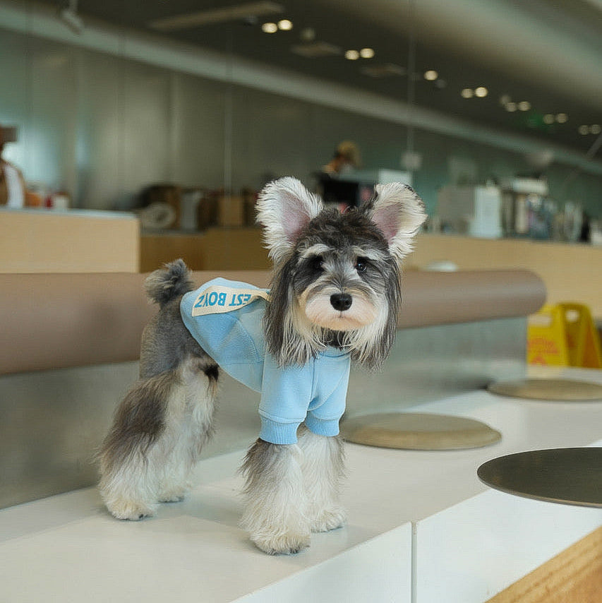 サイドタグボーイズスウェット