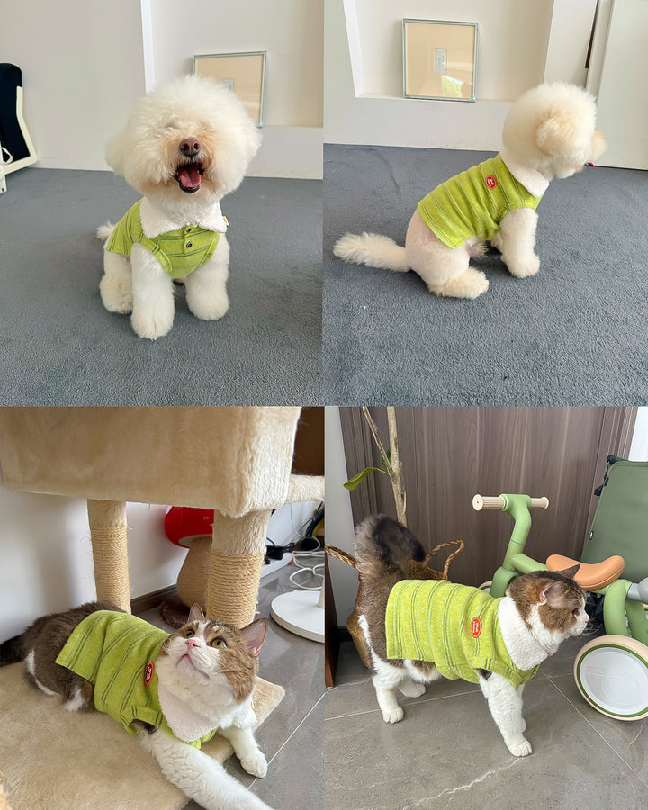 もこもこカラー付きニットベスト