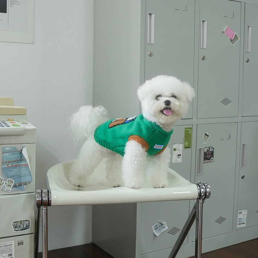 キャップドッグ・カラフルニット