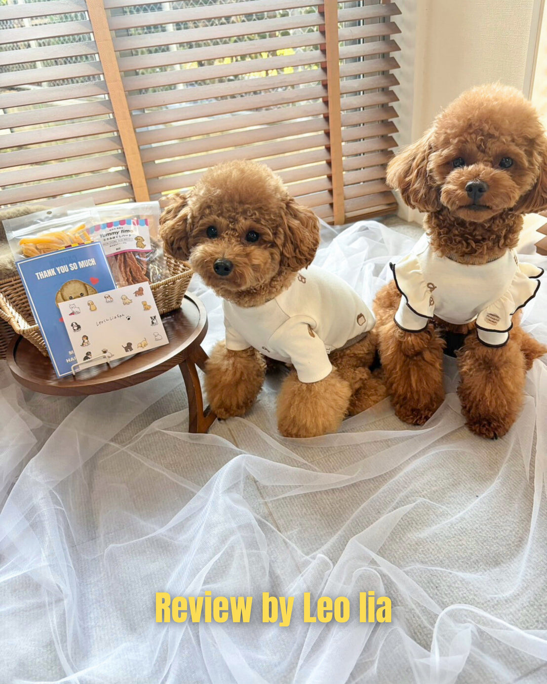 【国産/無添加】さつまいも細切りソフト 60g