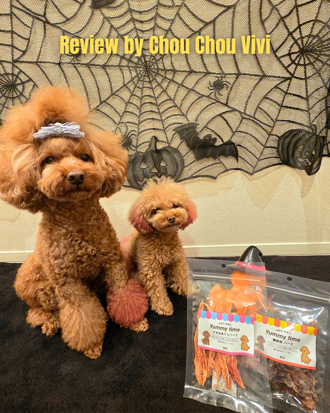 【国産/無添加】 鶏砂肝ハード 45g