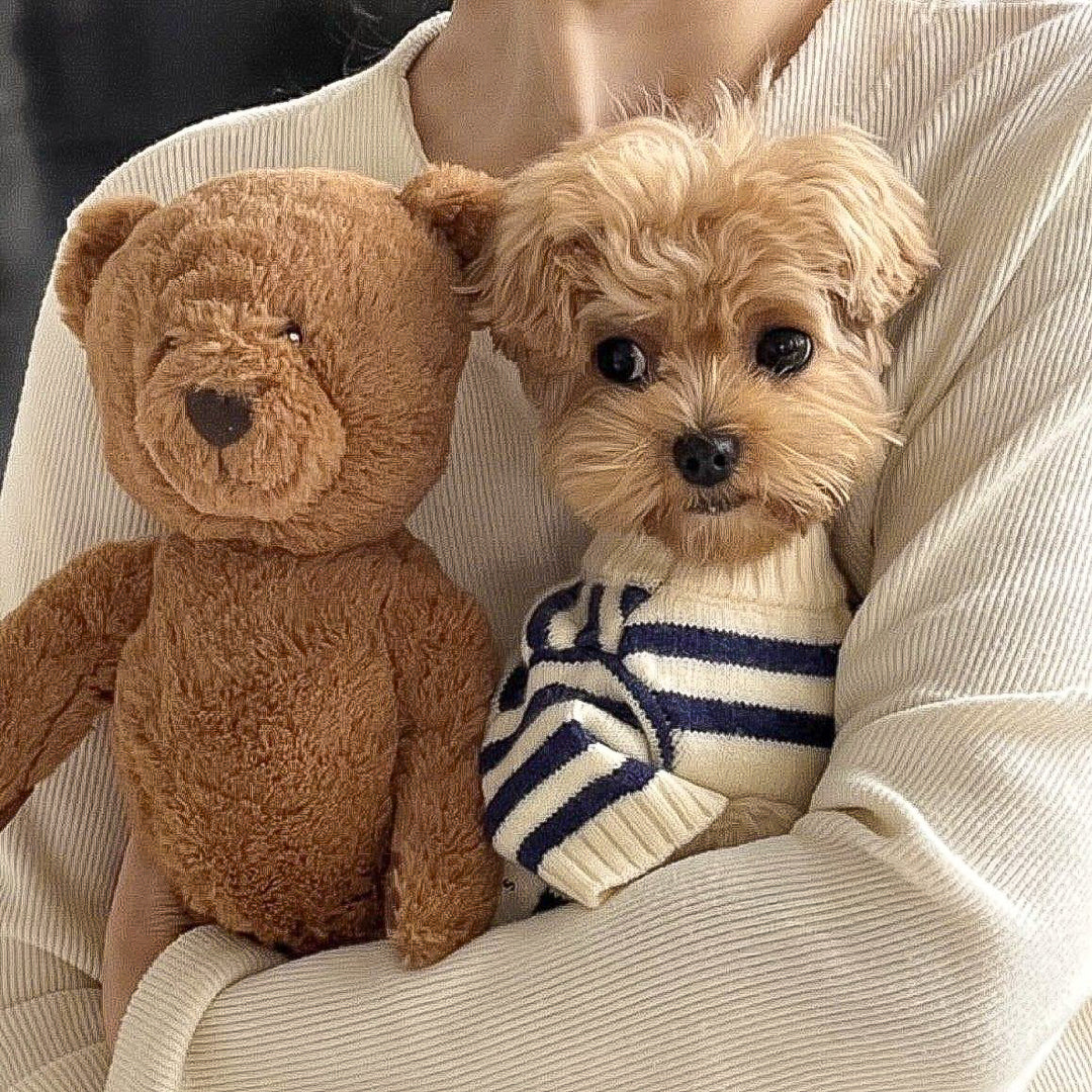 くまさん柄のクラシックボーダーニット