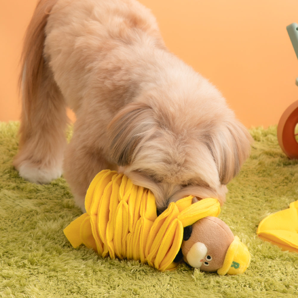 ポッキーポケットノーズワークおもちゃ