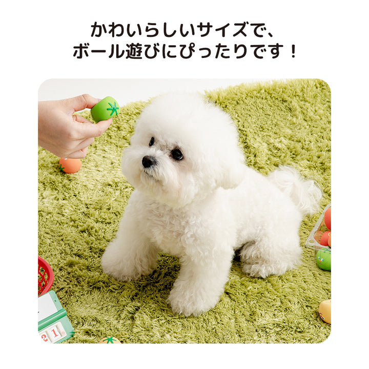 カラフルミニトマトラテックストイ