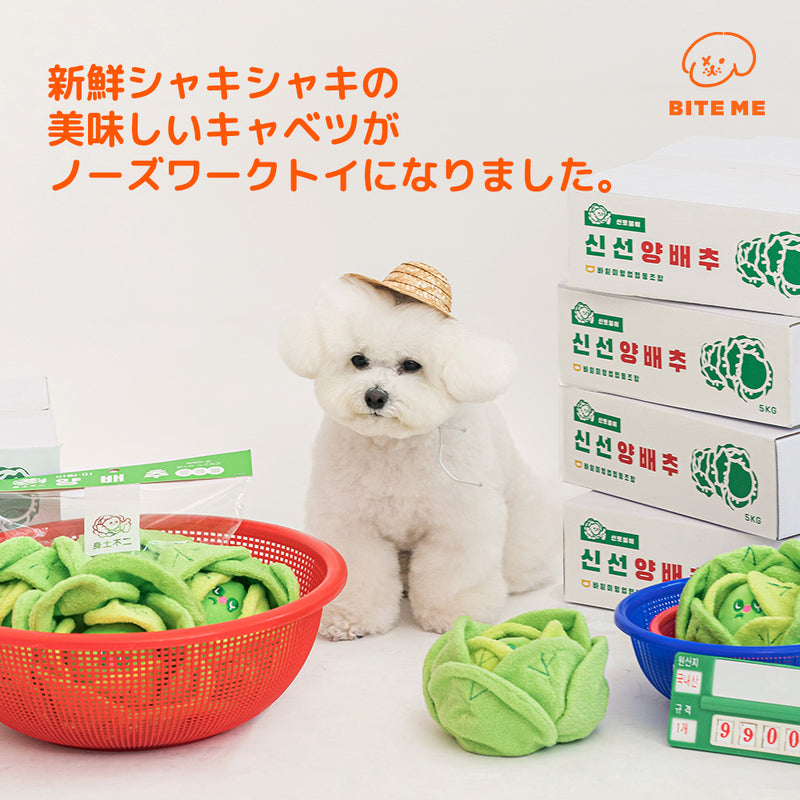 キャベツのノーズワークトイ