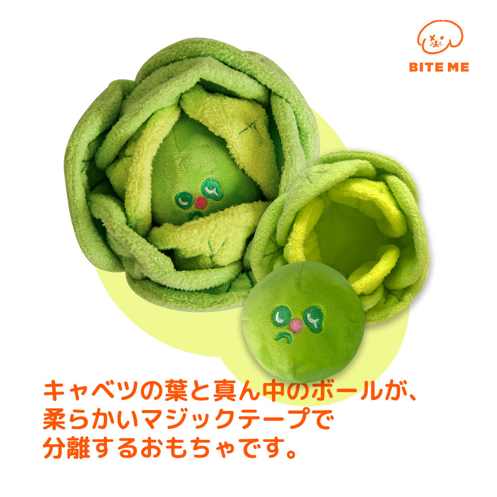 キャベツのノーズワークトイ