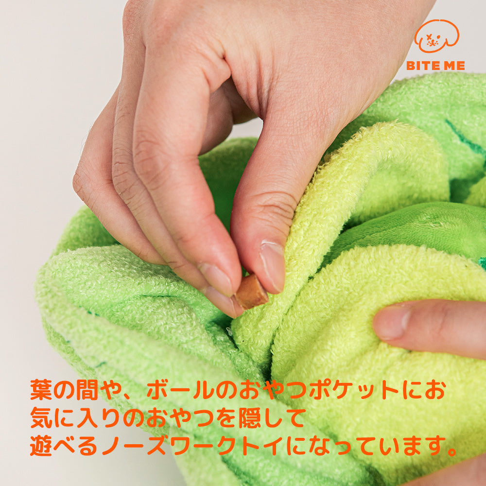 キャベツのノーズワークトイ