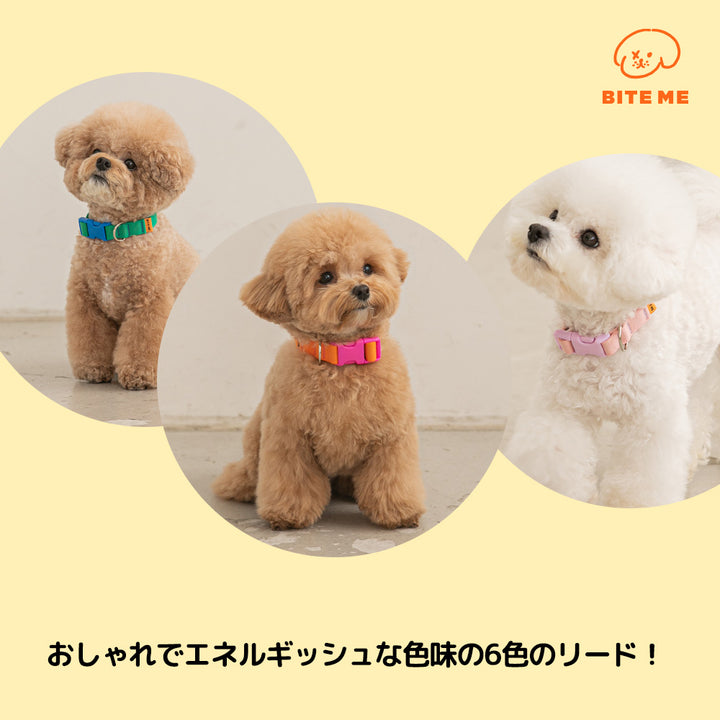 キャンディークレヨン首輪