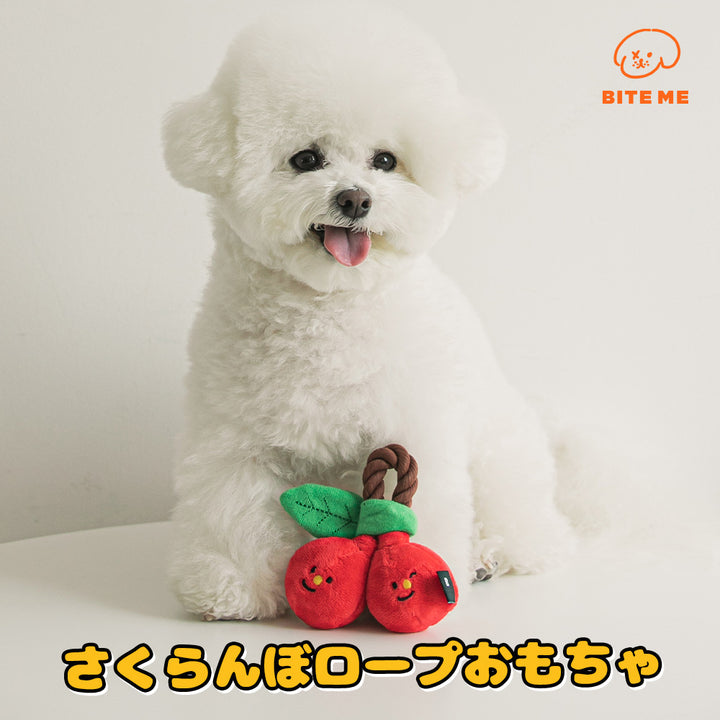 チェリーロープおもちゃ