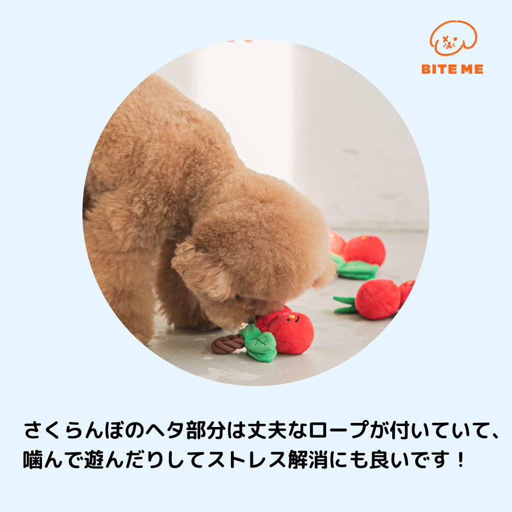 チェリーロープおもちゃ