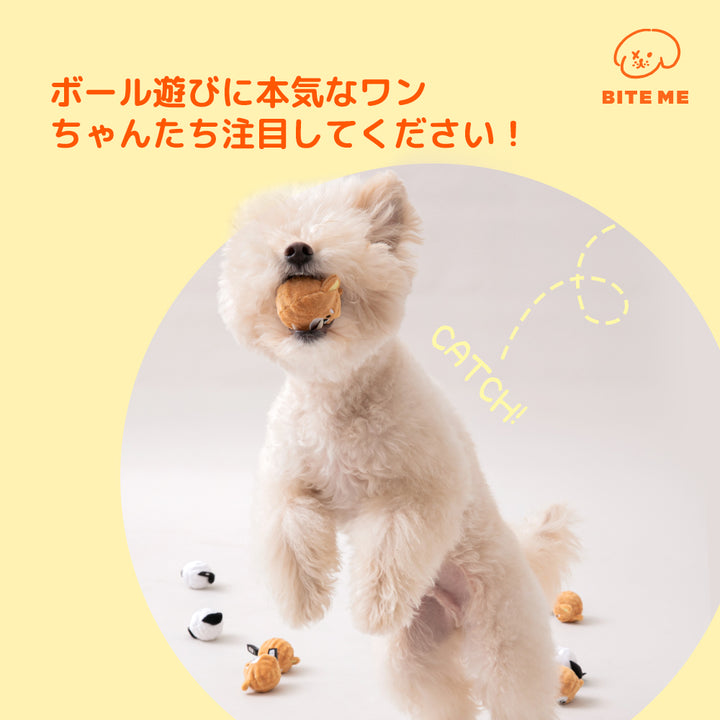 いぬのボールおもちゃ