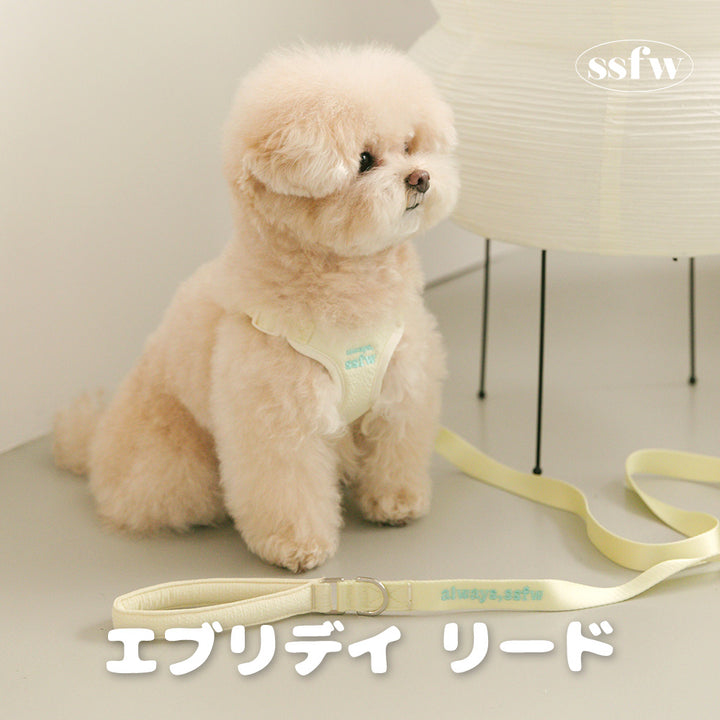 エブリディリード
