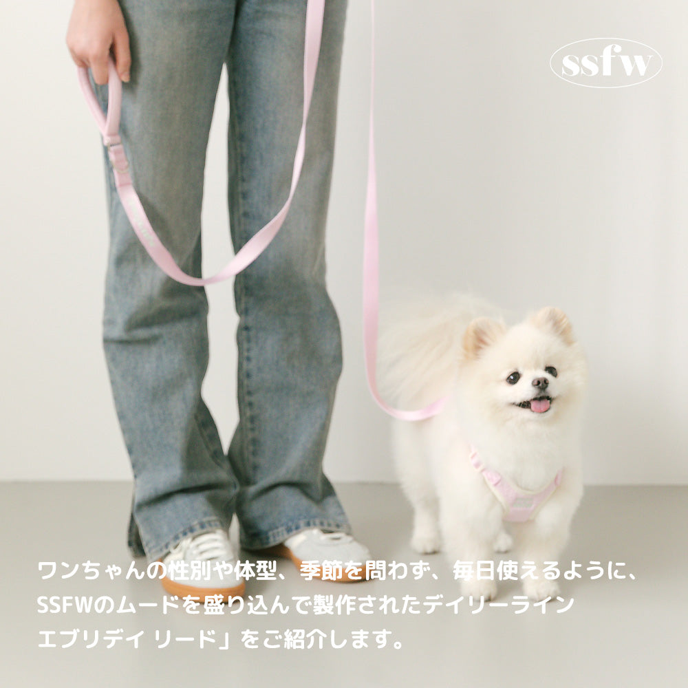 エブリディリード