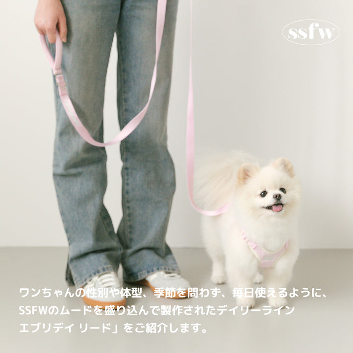 エブリディリード