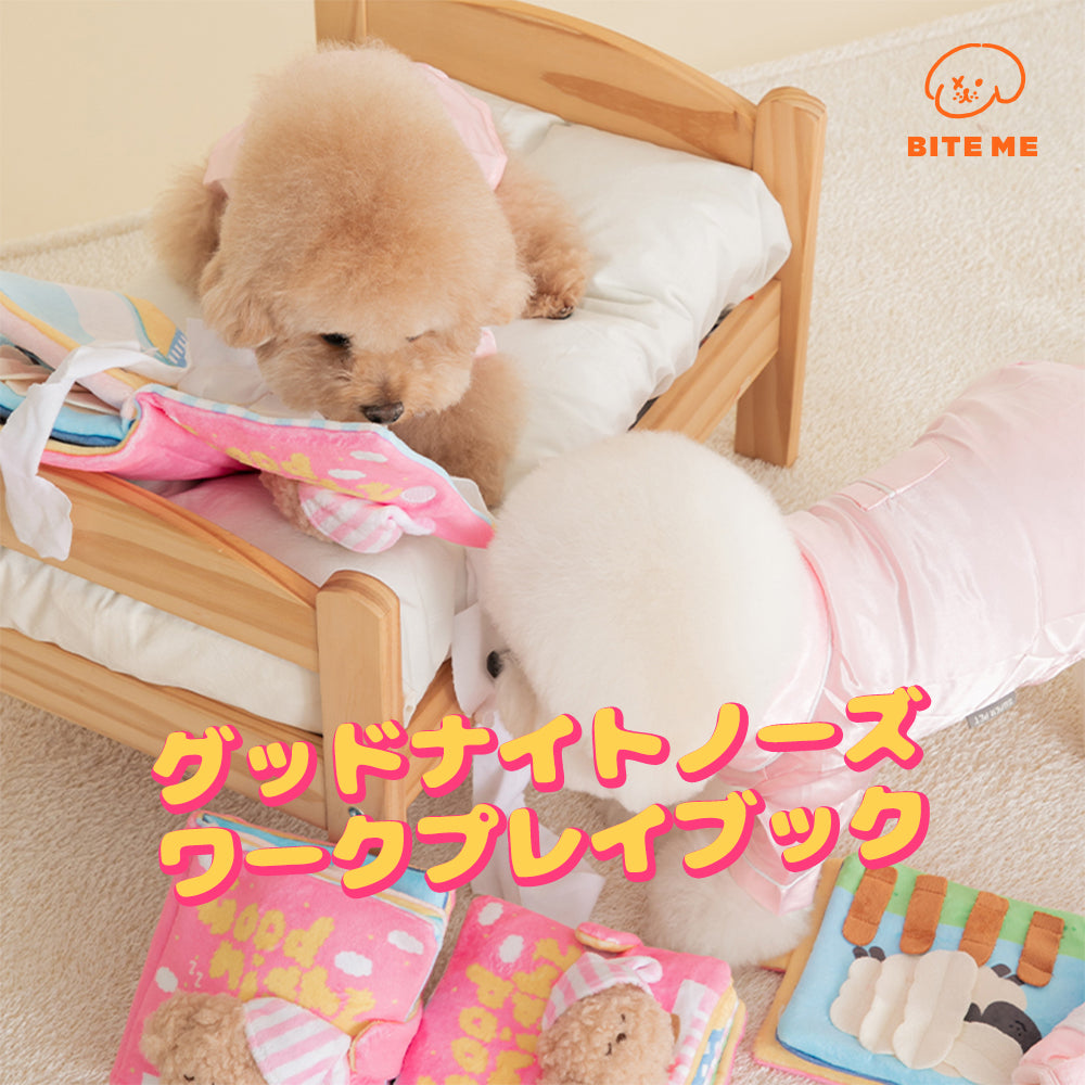 グッドナイトノーズワークプレイブック