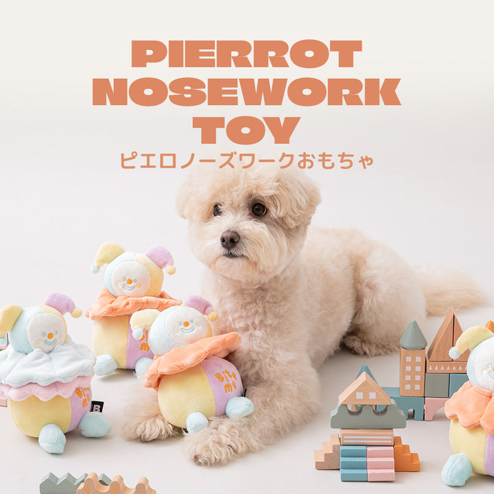 ピエロのノーズワークおもちゃ