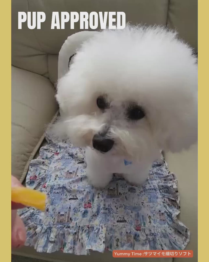 【国産/無添加】さつまいも細切りソフト 60g